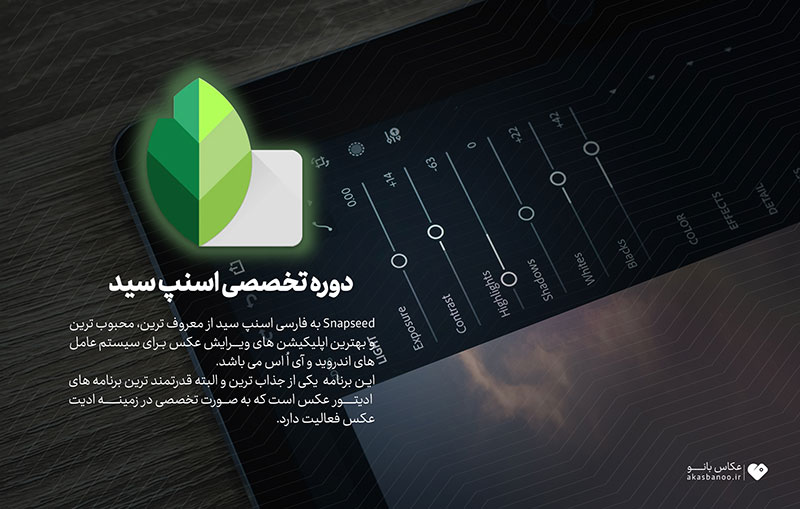 دوره تخصصی اسنپ سید